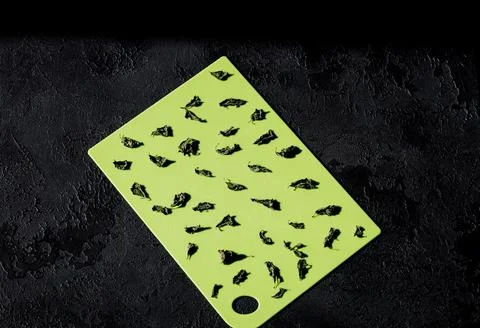 Pattern of dried mint leaves Foto stock