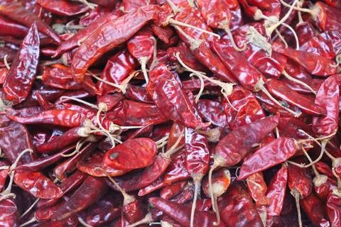 Pattern of dried red chili peppers. Dried red chili background. Stock Photos