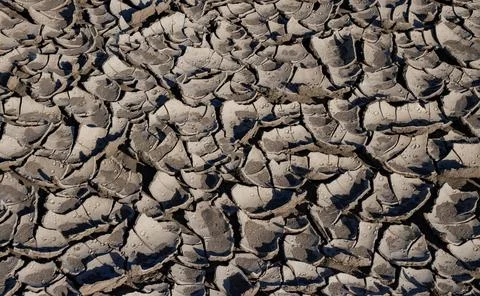 A pattern on dried silt. Dry land in the desert, Utah US Stock Photos