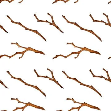Pattern dry branches without leaves watercolor Stock Illustration