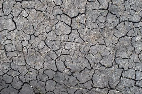 Pattern of a dry ground. Fotos Stock