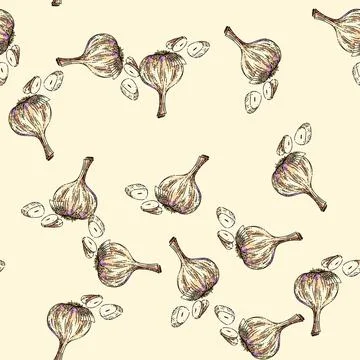 Pattern dry head of garlic sketch hand drawn Stock Illustration