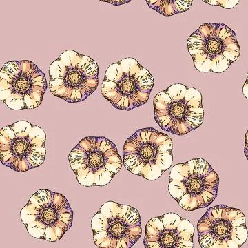 Pattern dry head of garlic sketch hand drawn Stock Illustration