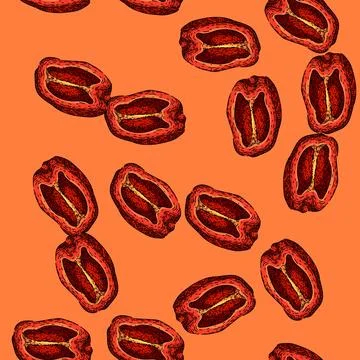 Pattern dry pepper spice sketch hand drawn Stock Illustration
