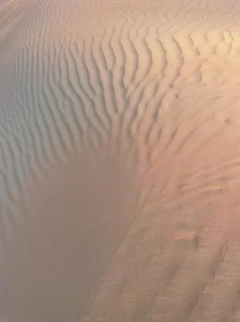  Pattern on dune in desert at sunset Copyright: xArtemxVarnitsinxArtemxVar... Stock Photos