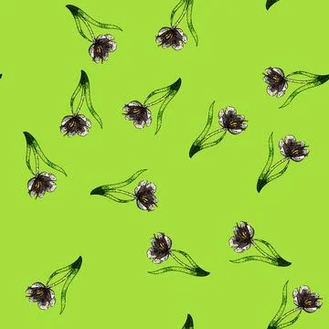 Pattern early crocus sketch hand drawn Stock Illustration