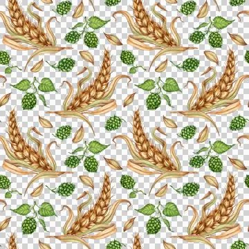 Pattern of ears of wheat and hop cones watercolor Stock Illustration