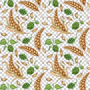 Pattern of ears of wheat and hops in watercolor Stock Illustration