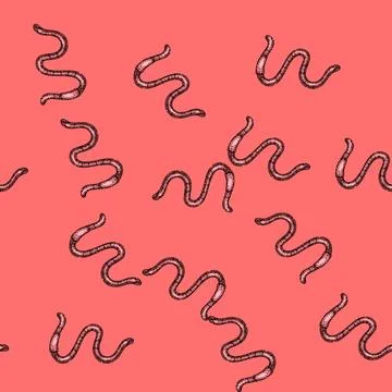 Pattern earthworm worm sketch hand drawn 库存插图