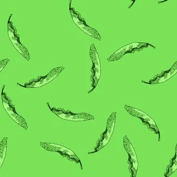 Pattern ecofriendly banana leaf sketch hand drawn Stock Illustration