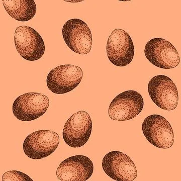 Pattern egg chicken sketch hand drawn Illustrazione stock
