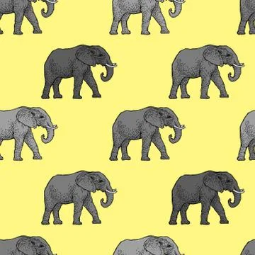 Pattern of elephants. Vector Background Stock-Illustration