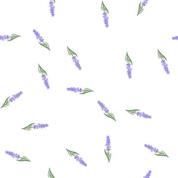 Pattern essential lavender cartoon vector Stock Illustration