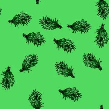 Pattern estragon tarragon sketch hand drawn Stock Illustration