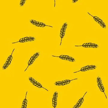 Pattern farm wheat sketch hand drawn Stock Illustration