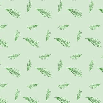 Pattern of fern Illustrazione stock