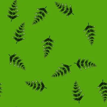 Pattern fern plant tropical leaf sketch hand drawn Stock Illustration
