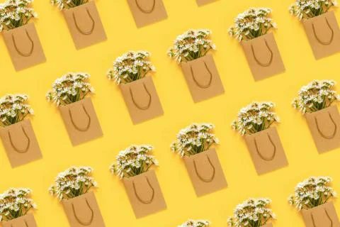 Pattern with field chamomiles flowers in craft package on yellow background.  Stock Photos