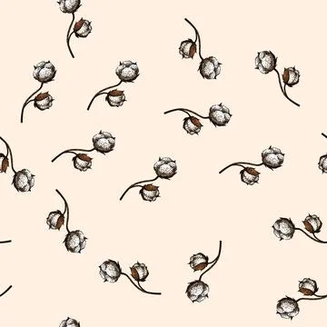 Pattern field cotton plant sketch hand drawn 스톡 일러스트