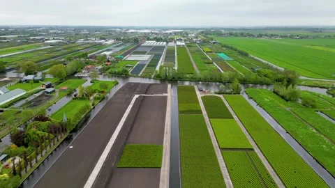 Pattern of fields and farms near Bodegraven city in the Netherlands. Stock Footage 254911697