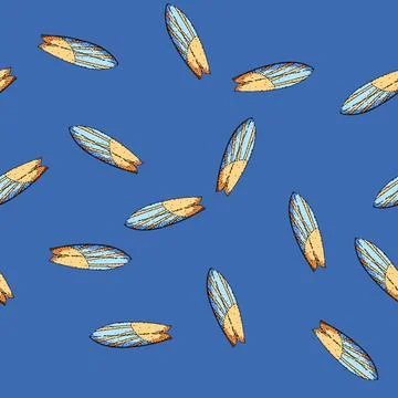 Pattern fins surfboard sketch hand drawn Stock Illustration