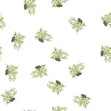 Pattern fish aquarium plant cartoon vector イラスト素材
