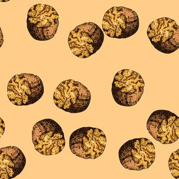 Pattern flavor nutmeg spice sketch hand drawn Stock Illustration