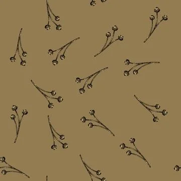 Pattern flax flax sketch hand drawn Stockillustratie