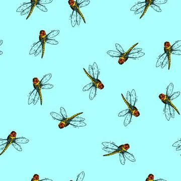 Pattern flight dragonfly sketch hand drawn Stock Illustration