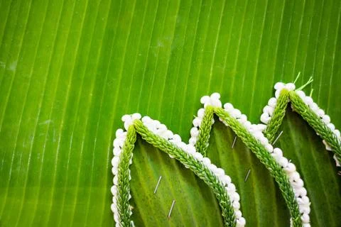 Pattern of floating basket by banana leaf for Loy Kratong Festival, river god Stockfoto's