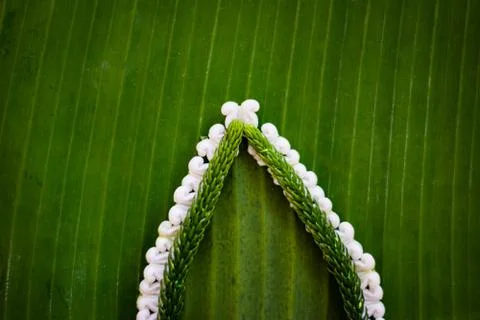Pattern of floating basket by banana leaf for Loy Kratong Festival, river god Stock Photos