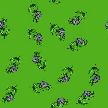 Pattern flora periwinkle sketch hand drawn Stock Illustration