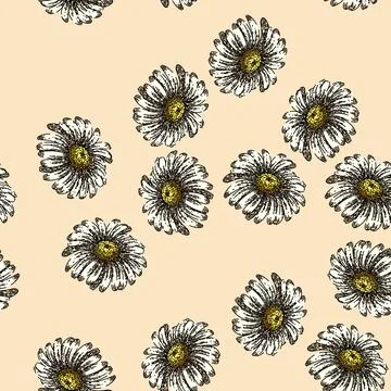 Pattern floral daisy flower sketch hand drawn Stock Illustration
