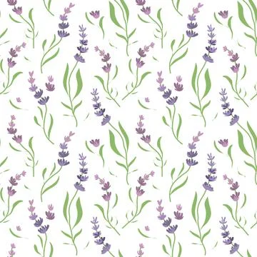 Pattern floral witch flowers of lavender Stock Illustration