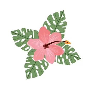 Pattern with flower and leafs of summer Stock Illustration