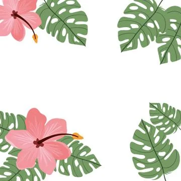 Pattern with flower and leafs of summer Stock Illustration