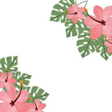 Pattern with flower and leafs of summer Stock Illustration