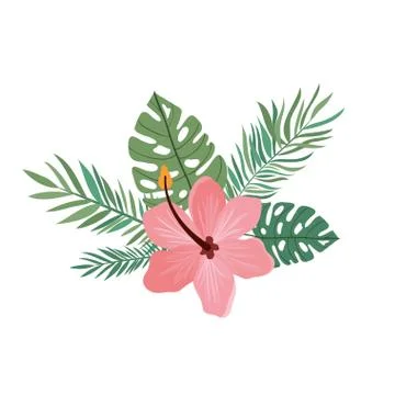Pattern with flower and leafs of summer Stock Illustration