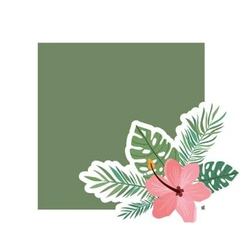 Pattern with flower and leafs of summer 스톡 일러스트