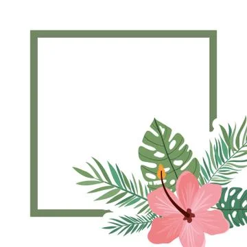 Pattern with flower and leafs of summer Stock Illustration