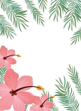 Pattern with flower and leafs of summer 스톡 일러스트