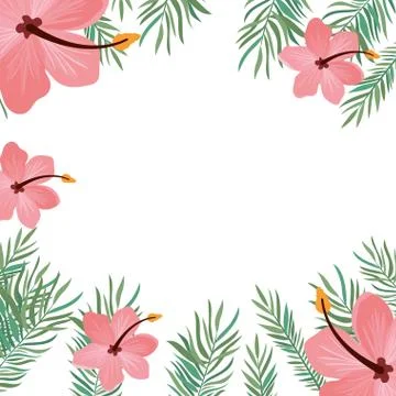 Pattern with flower and leafs of summer Stock Illustration