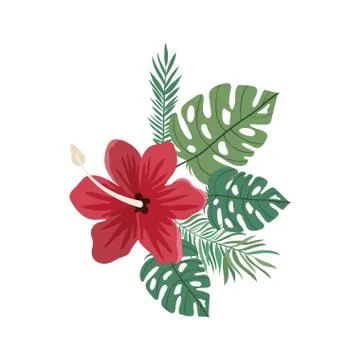 Pattern with flower and leafs of summer 스톡 일러스트