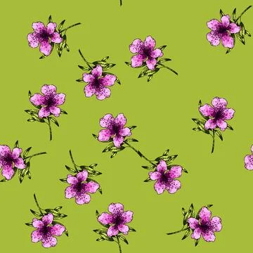 Pattern flower azalea sketch hand drawn Illustrazione stock