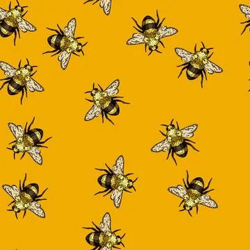Pattern flower bee sketch hand drawn Stock Illustration