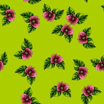 Pattern flower begonia sketch hand drawn 스톡 일러스트