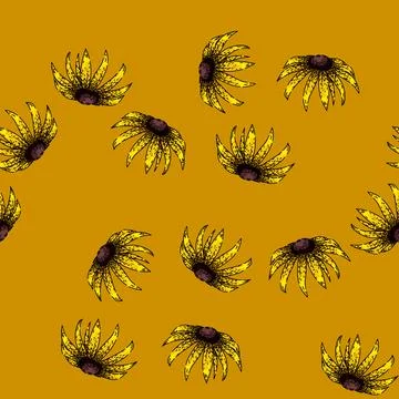 Pattern flower black eyed susan sketch hand drawn Stock Illustration