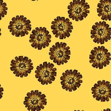 Pattern flower calendula sketch hand drawn Stock Illustration