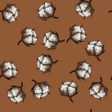 Pattern flower cotton plant sketch hand drawn Stock Illustration