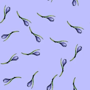 Pattern flower crocus sketch hand drawn Stock Illustration